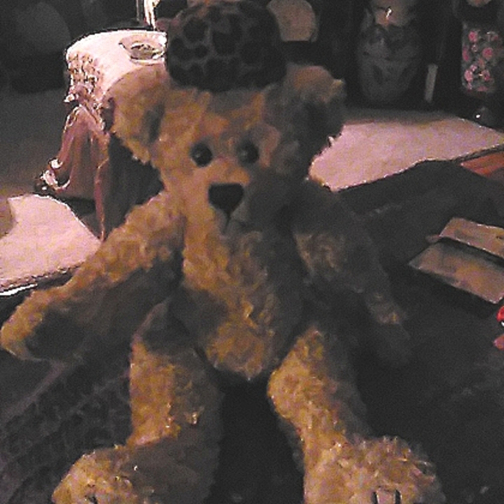 Ty beanie rare find